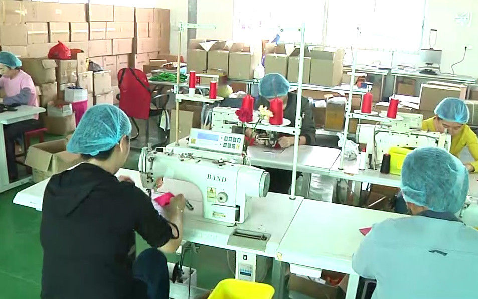 中国 Saferlife Products Co., Ltd. 会社概要